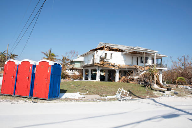 Reliable Pflugerville, TX Tree Removal Solutions